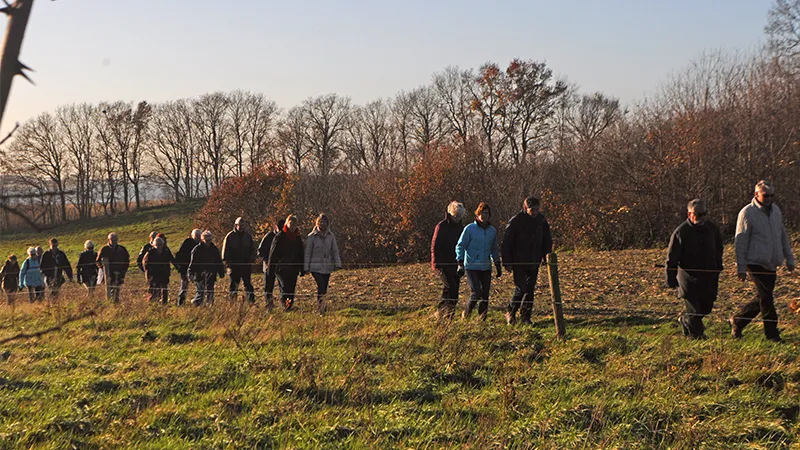 snertwandeling leo den heijer