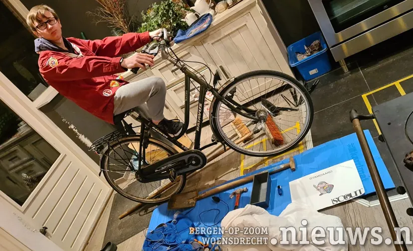 stamdaard halsteren opdracht