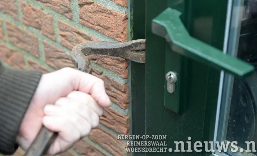 vin alg inbraak 002b