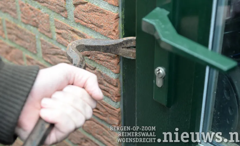 vin alg inbraak 002b