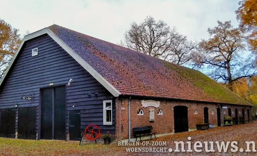 vin hof van ram