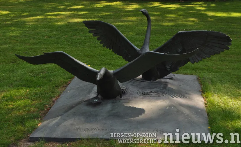 zwanen foto leo den heijer