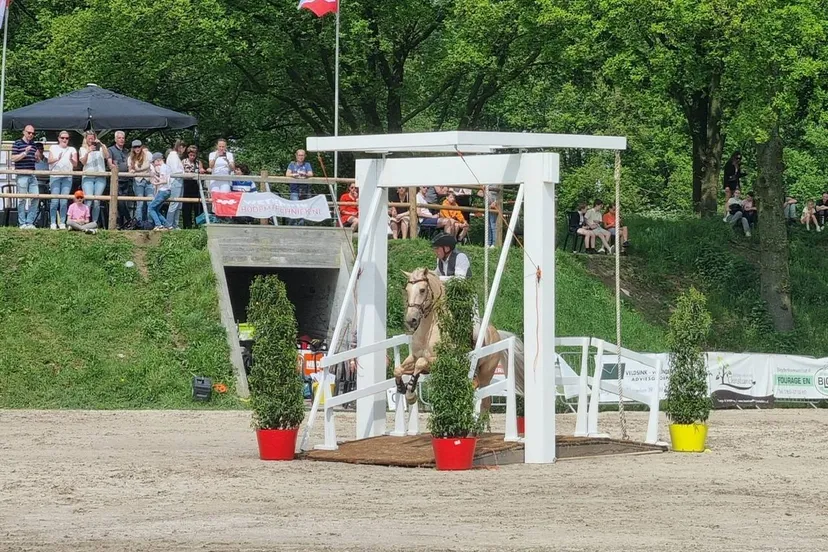 foto mark hoeffgen 1