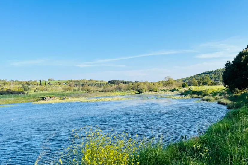 biodiversiteit