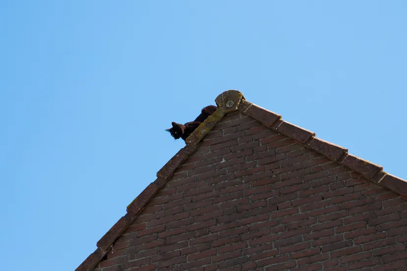 02072018 brandweer red kat van dak beuningen 4