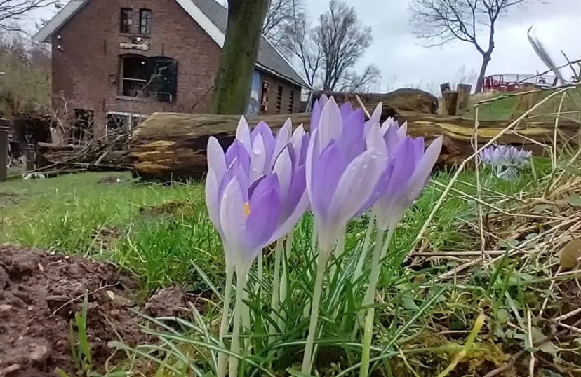 02d6bb9a cc51 4606 92c4 6ea3b29dfcf3 thumb840