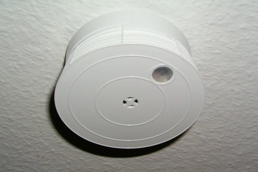 0a2f2d2f 3b94 43cf 8eb0 fb7d38036b13