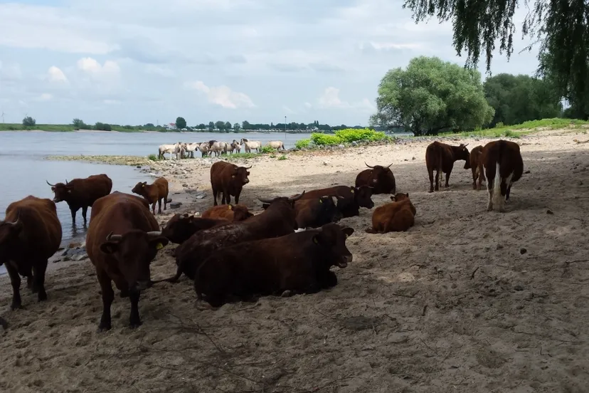 0f4454d6 4435 7fcd 34d8 0d3550e3f583 thumb1024