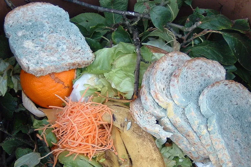 1024px molded bread e1430416733955