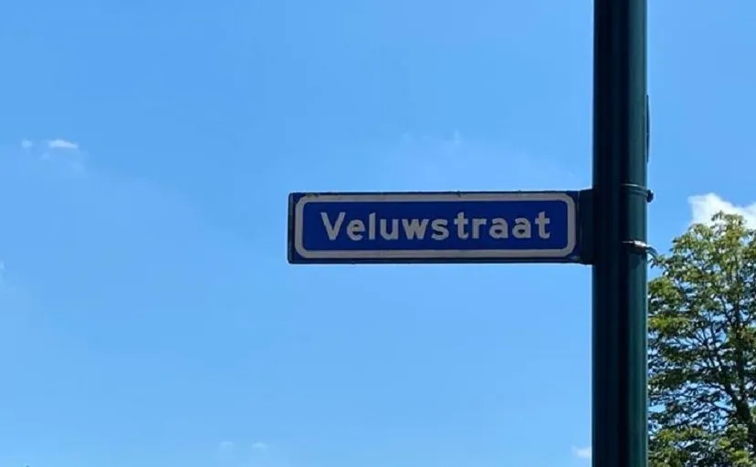 108001640 2955130244542182 8905073104646990526 o e1594655254349