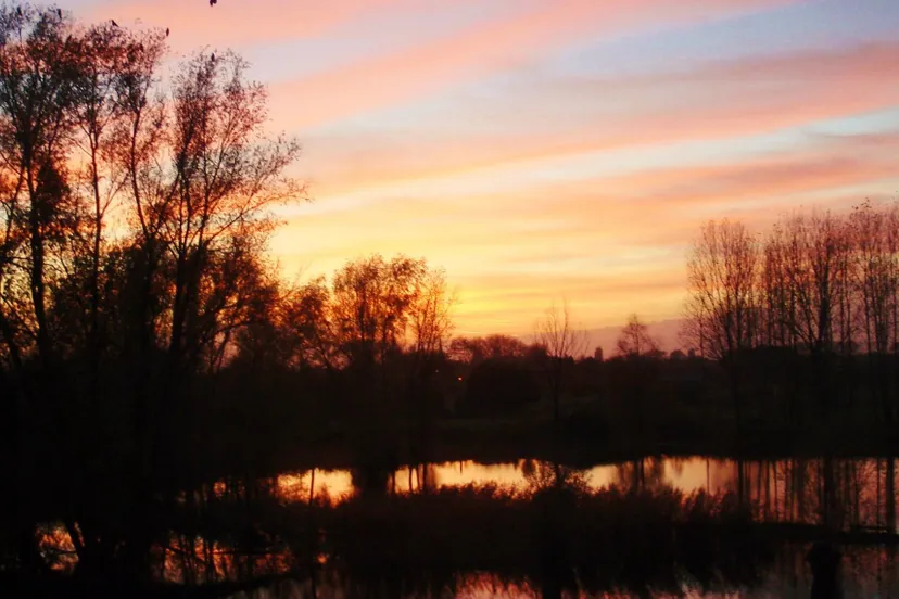 10917951 753990584684095 3781757757910071985 o e1452150784349