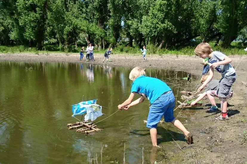 11425078 829767063773113 2556677369763843936 n