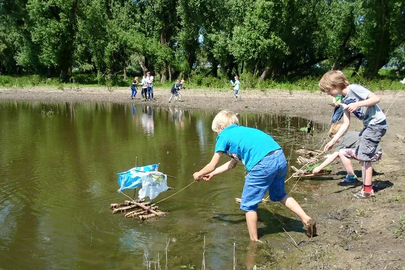 11425078 829767063773113 2556677369763843936 n