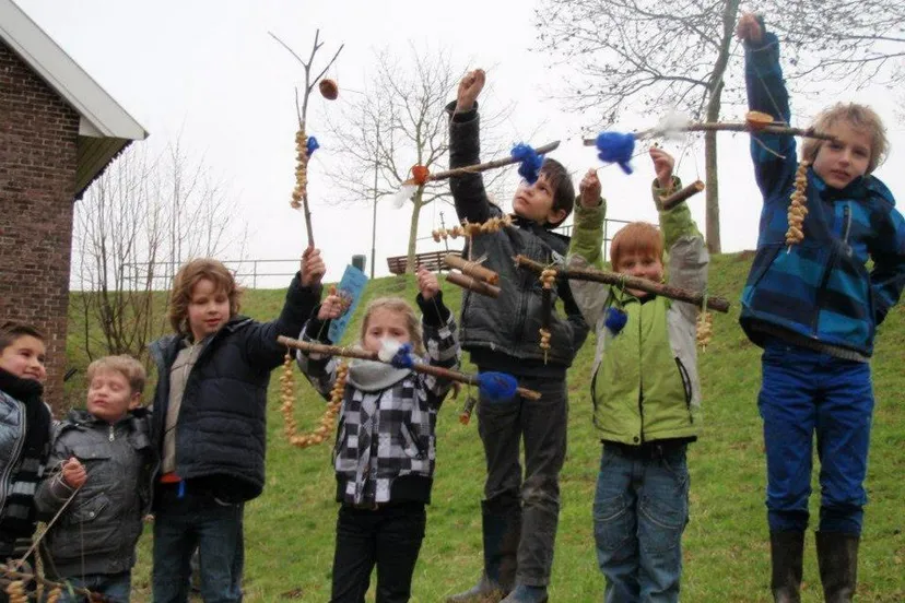 11508 423839514365872 2033422007 n