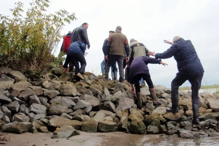 11536461 876187005797785 5763590733487293334 o e1456709098101