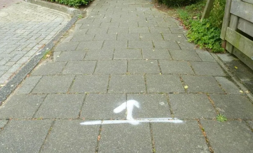 11722631 833405000048061 7292978516225340628 o e1436703961987