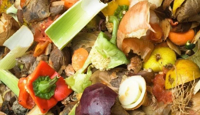 11892134 847706235284604 1617154962879610386 n e1439553233462