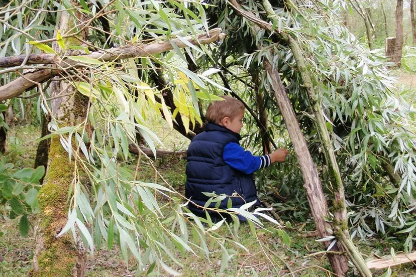 12096579 896848650398287 1476902662142070031 n