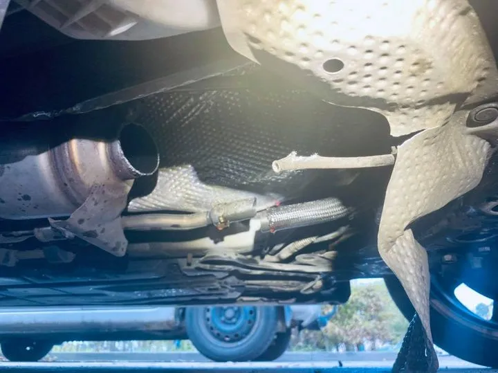 121668110 1895897000586504 336781149792457138 o