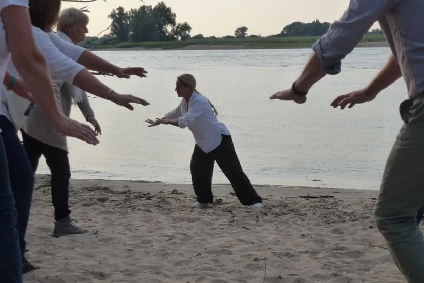 12248092 905830489500103 6860506713051615542 o e1447974881802