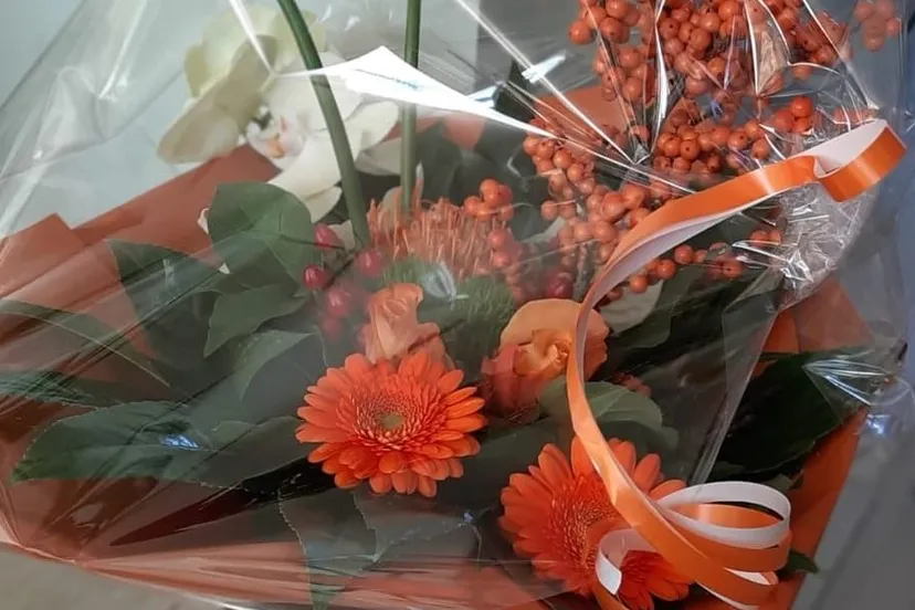 130099989 2622298601324187 8172051043031034845 o e1607385052541