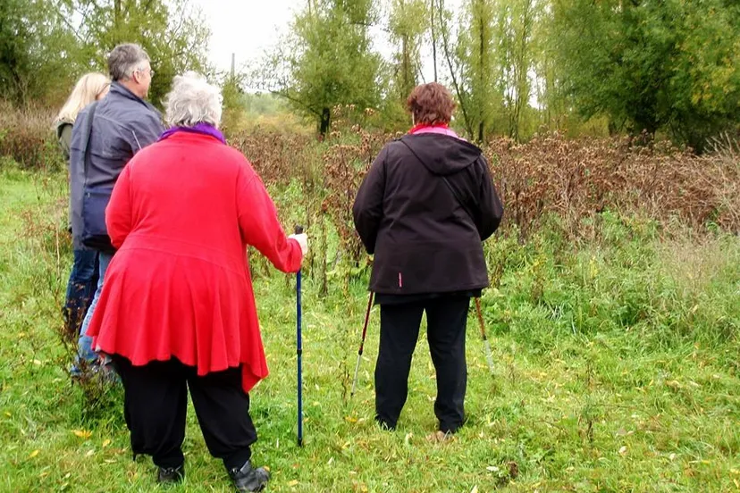 13179307 1003729916376826 4060273463720511188 n