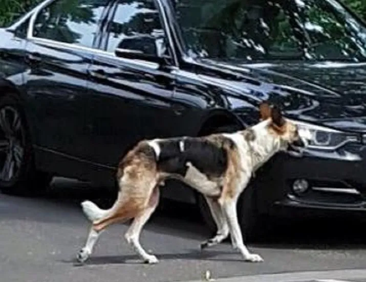 13606609 10205997853699808 2395402938218510005 n