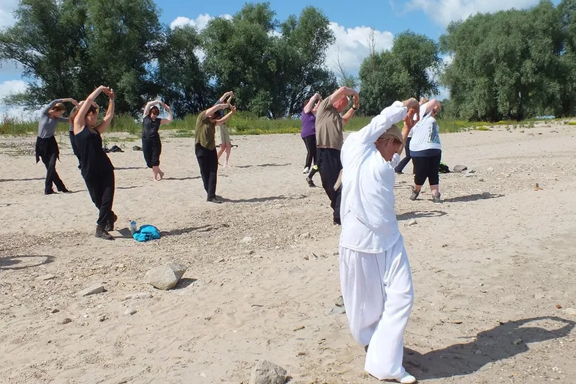 14232425 1099451940137956 2535206116781462059 n