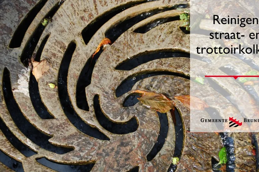 156193231 3590220391033161 1838296007687822097 o