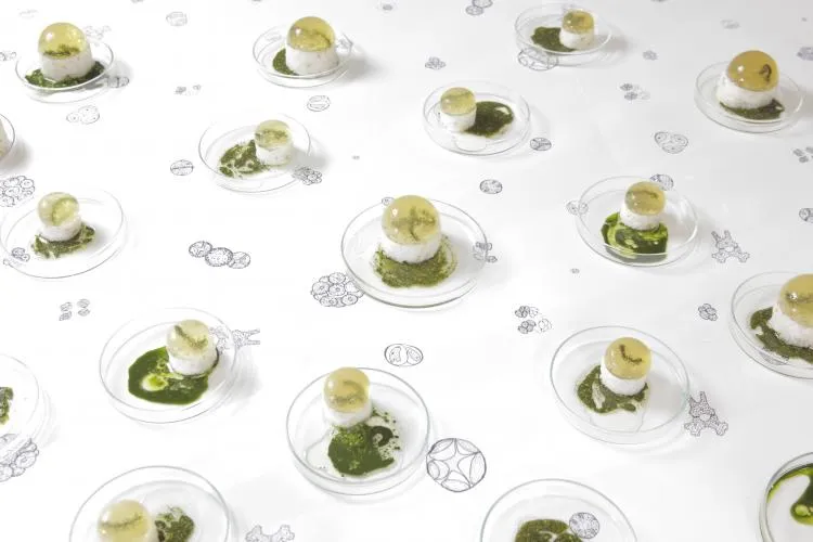 171019 gl 17 quinoabite eiwit