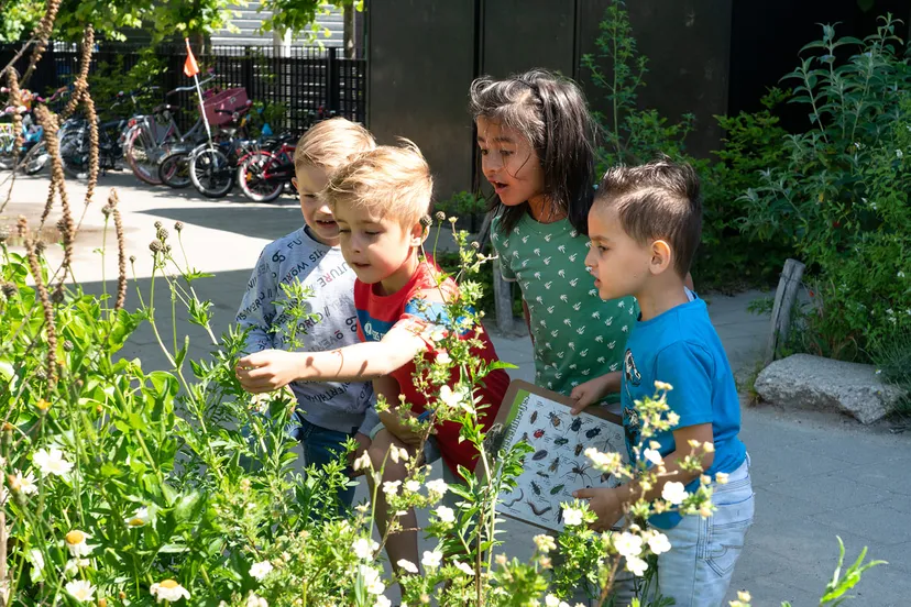 173653308 4001161466633641 1972784690805658567 n