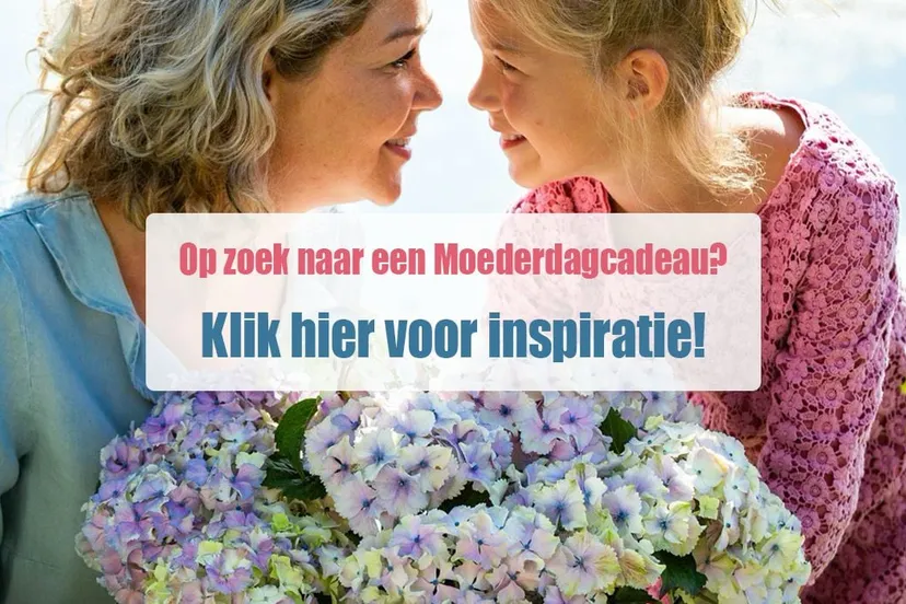 179431556 4041365309246060 6648226457128256180 n