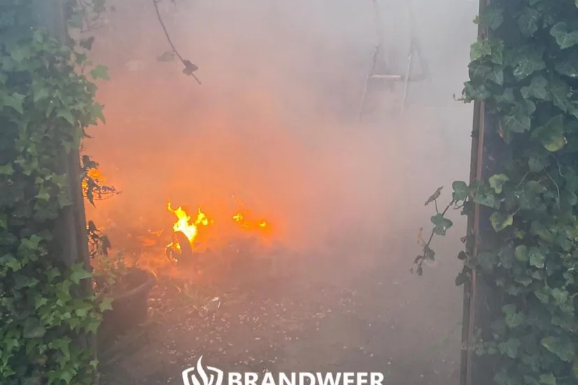 179970031 970955703731595 891122644185671764 n