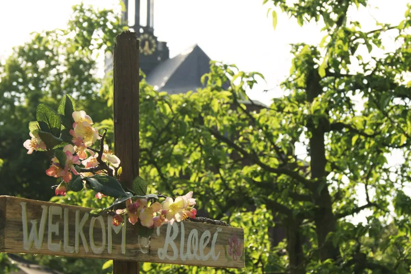 18489479 1914382635485779 6924501969518496619 o