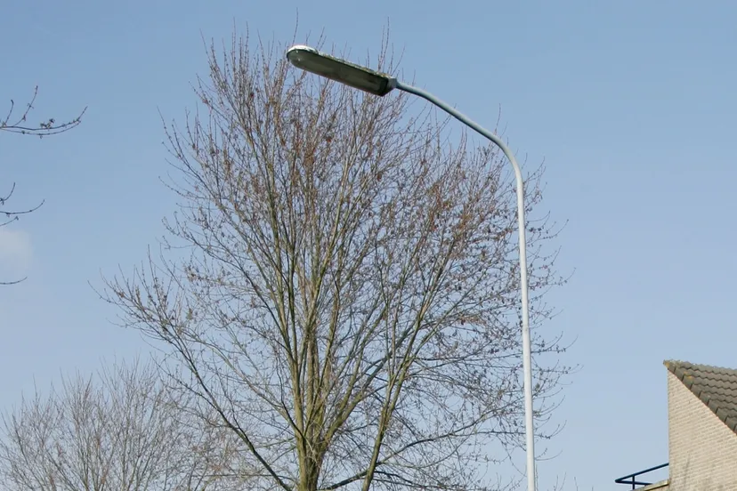 186c1f37 7b2b 47b6 afdd 583f253654b6