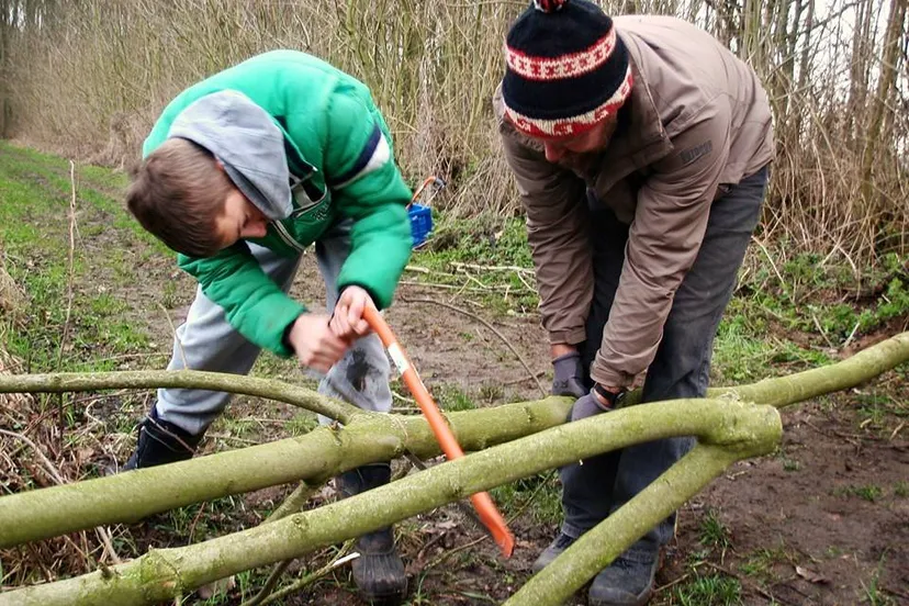 19114 787182598031560 4474601140580812795 n