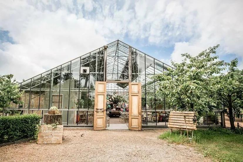 19961498 1112681865530450 6825981958856477662 n