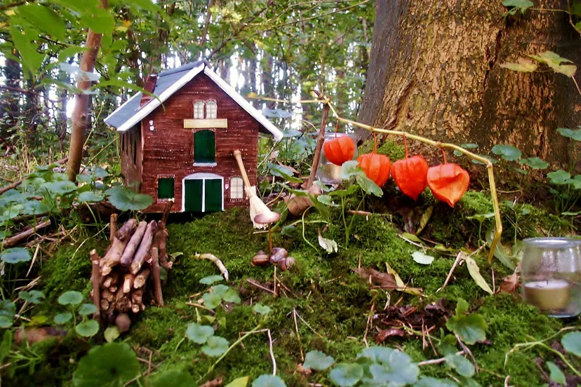 2017 fotodijkmagazijn2017 10 06kabouterroodslag