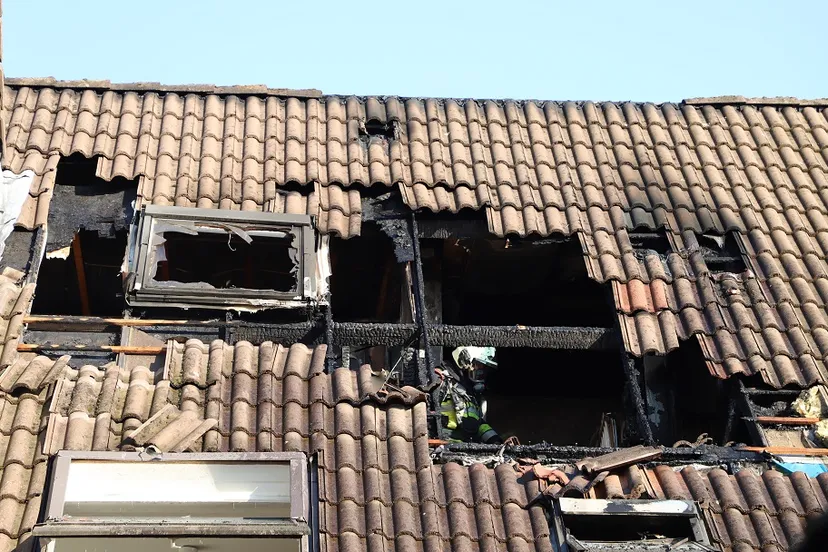 20190322162435 img 7968