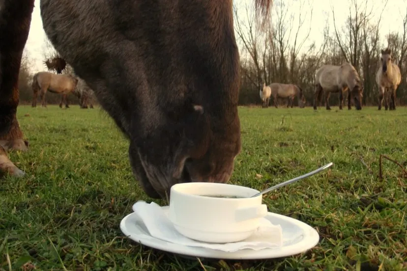 20200105 fotodijkm snertwandeling 1020x685