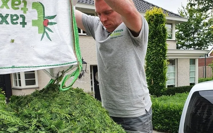 20200610 133103 915x518