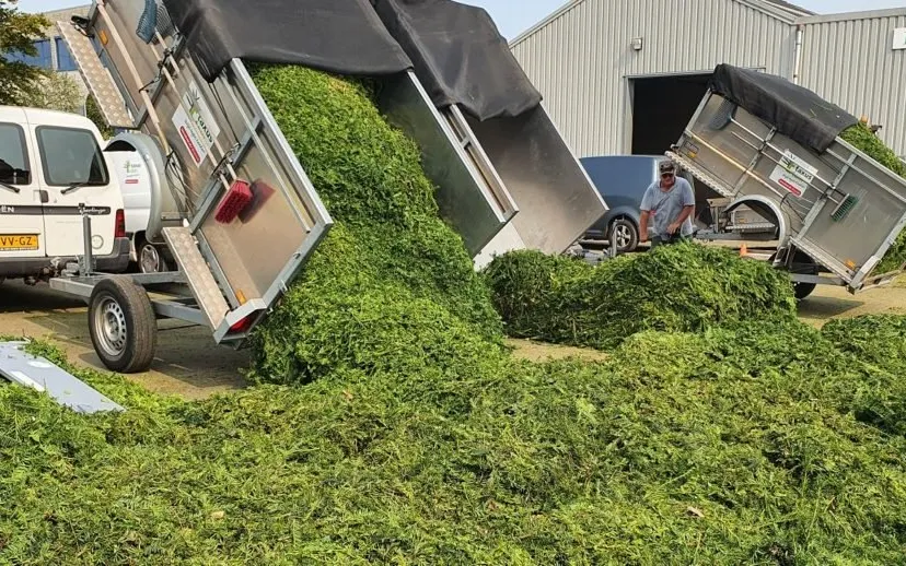 20200911 124654 915x518