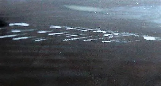 20623943 1700206543622327 891561862 n