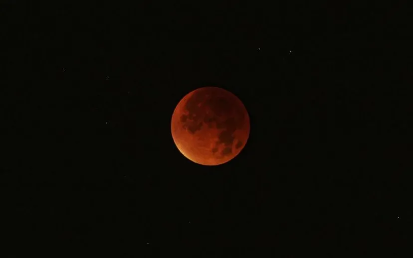 21586494759 7046d9eefb b 915x518