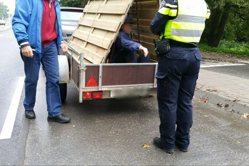 22095897 1433205456732503 4006298273590870325 o