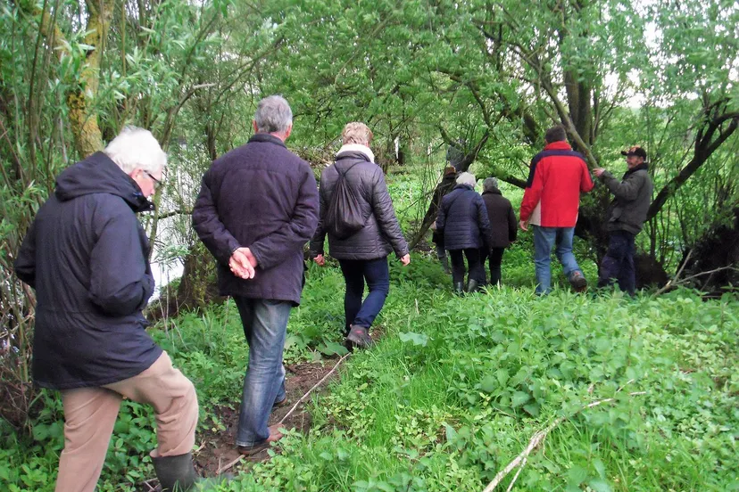 22550477 1609447342471744 753526360054509447 o