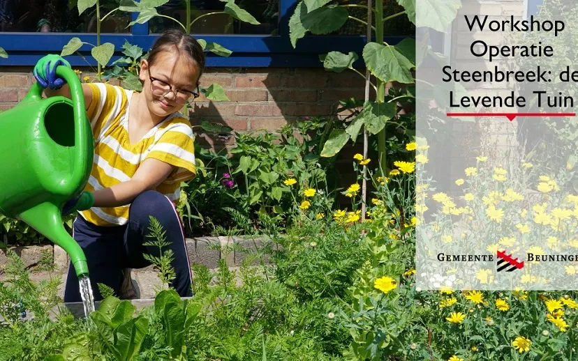 240800046 4095565537165308 6633077582227115291 n