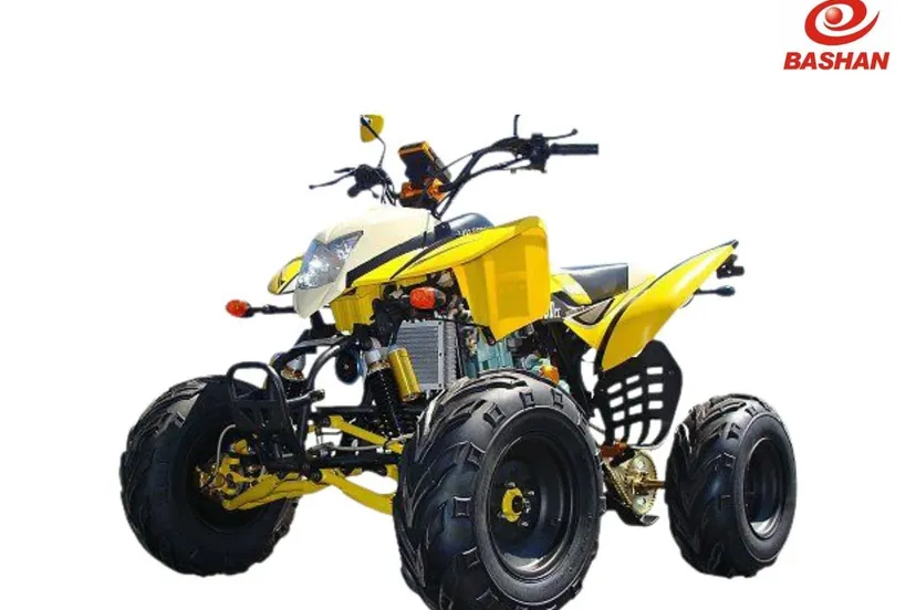 243158193 3162950750696268 2489542071906186633 n