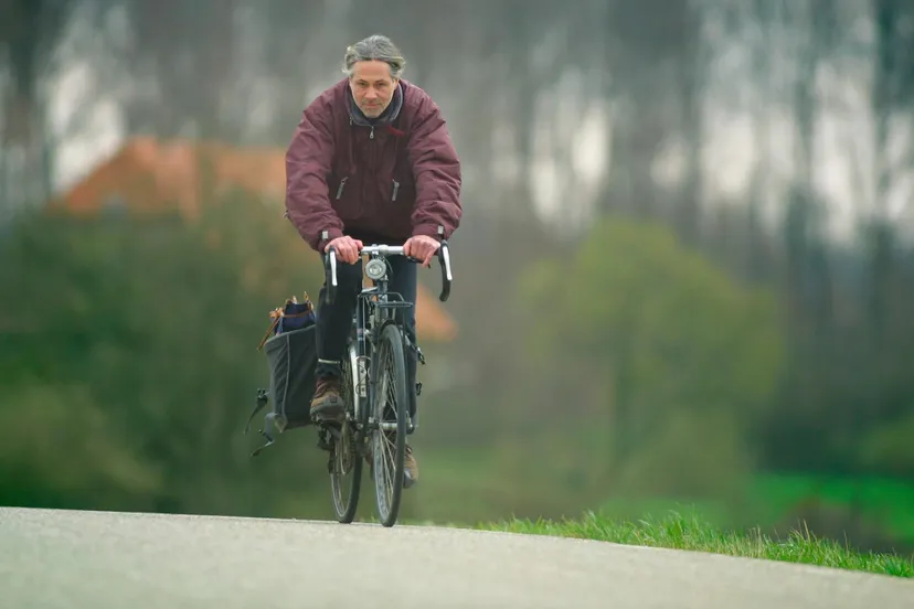 26962498 1495839887137899 3295800527779204497 o