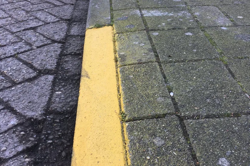 275289732 3750929101799376 856996354904656739 n